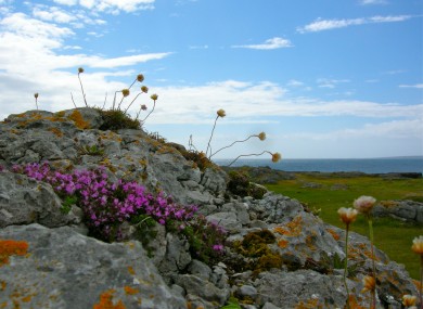 The Burren in Co Clare.