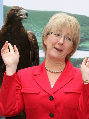 Keeping a bird's eye view of Fianna Fail: Hanafin says she's staying politically active and will run for Dail seat again
