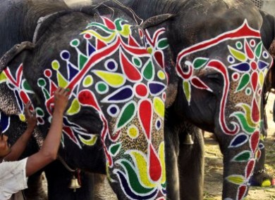 Trunk call: An artist paints an elephant for an annual religious procession in Ahmadabad, India