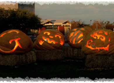 Google's special Halloween doodle