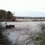 Snow in Buttevant, North Cork today from @smceneaneyirl on Twitter