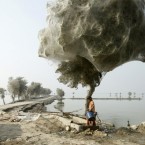 An unexpected side-effect of the 2010 flooding in parts of Sindh, Pakistan, was that millions of spiders climbed up into the trees to escape the rising flood waters; because of the scale of the flooding and the fact that the water took so long to recede, many trees became cocooned in spiders webs. Image: Russell Watkins/National Geographic Photo Contest.