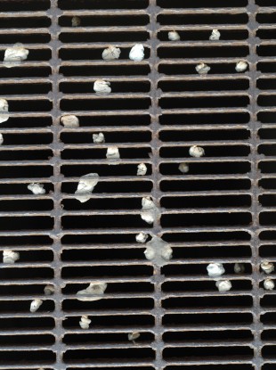 One councillor in Trim believes banning gum could be an effective way of banishing a regular eyesore.