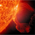 Huge clouds of (relatively) cool plasma suspended from the sun's surface. (NASA/the Solar Dynamics Observatory) 