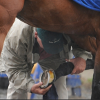 When all’s said and done though, everybody is there for the racing.
By the time the festival closes, there’ll be over four million hoofprints on the Prestbury Park racetrack. That’s a lot of turf to be repaired.