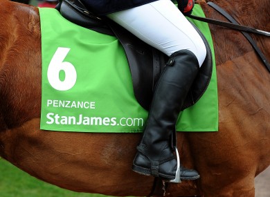 Detail view of StanJames.com branding on Penzance on Centenary Day, during the Cheltenham Festival.