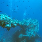 Truk (aka Chuuk) was the forward stronghold of Japan’s Imperial Navy during World War II before it was bombed in February 1944.
The coral-encrusted ghost fleet litters the sandy floor at an average depth of 65 feet.
The lagoon’s calm waters host reef sharks and a rainbow of fish, as seemingly in paradise as the divers photographing rusted artillery tanks aboard the San Francisco Maru and the shattered hulk of the I-169 Shinohara submarine.

<a href=