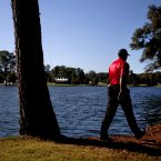 Age: 36
Appearances: 6 (1997, 99, 2002, 04, 06, 10)
Record: P29 W13 H2 L14
Majors: 14 (1997, 2001, 02, 05 Masters; 2000, 02, 08 US Open; 2000, 05, 06 Open; 1999, 2000, 06, 07 USPGA)
World ranking: 2
Has been on the winning side only once, missing the 2008 victory through injury. With 14 majors is second on the all-time list to Jack Nicklaus, but has not added to his total since the US Open four years ago. Only player in history to hold all four majors at the same time. Has had 12 different partners in the Ryder Cup.