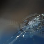 In 1903 Edouard Benedictus, a French scientist, dropped glass flask and it did not shatter.

The pieces of glass were broken, but they stayed in place and maintained the shape of the container. Upon investigation Benedictus found that the flask had originally contained a solution of cellulose nitrate, a liquid plastic that had evaporated.

This was the first type of safety glass developed, a product which is now frequently used in car windshields, safety goggles, and much more. 

Image: holisticmonkey/Flickr/Creative Commons 