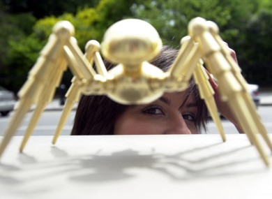 One of the famous Golden Spiders