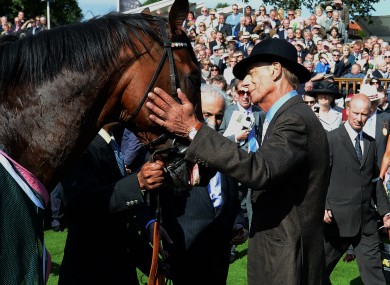 Trainer Henry Cecil greets Frankel after his victory in the Juddmonte International Stakes.