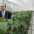 We don't think Micháel Martin has ever worked in this film related profession but, like we said, it's never too late Micheál. This person is responsible for every aspect of greenery on a film set, real or artificial. (Image:Mark Stedman/Photocall Ireland)