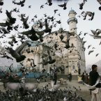 Pigeons fly outside Shah-e-Doshamshera's mosque in Kabul, Afghanistan. (AP Photo/Ahmad Nazar)