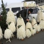 A Georgian woman sells chichilaki - an ancient Georgian traditional Christmas tree made of hazelnut wood, in Tbilisi, Georgia. Georgians believe a chichilaki resembles the beard of St. Basil, who is widely revered in the Orthodox Christian ex-Soviet nation. (AP Photo/Shakh Aivazov)