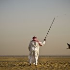 An Iraqi professional falcon trainer Abu Badr al-Anazi swings a pigeon body to attract a falcon during a training session on the outskirts of Dubai, United Arab Emirates. While the methods to develop top-quality hunting falcons date back to antiquity, its transition into a modern Middle Eastern passion has brought in microchip tagging and price tags that can run well over ,000 for a prime bird.(AP Photo/Kamran Jebreili)