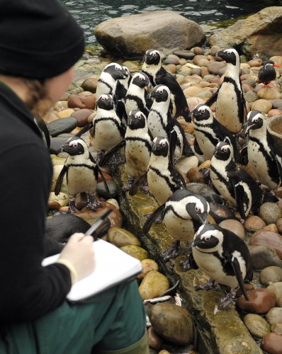 Bristol Zoo count
