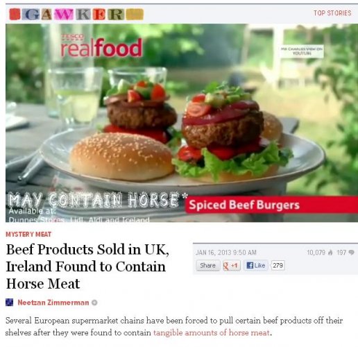 gawker horse meat