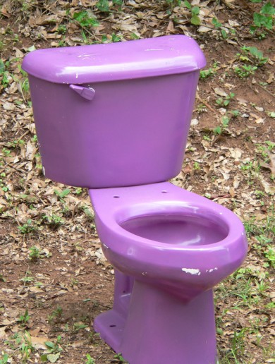 Pennsylvania woman fights cancer using… purple toilets