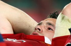 Biting allegations against Healy but injury may have ended tour early